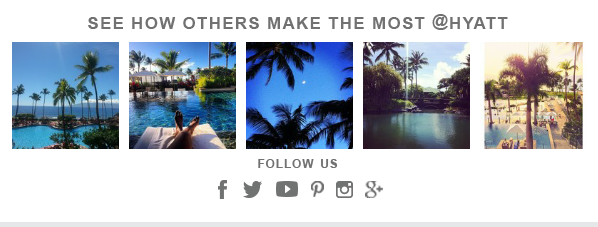 Feed Instagram Hyatt